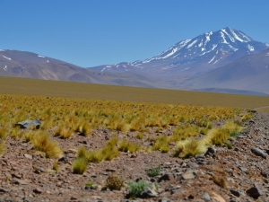 atacama-2017-139