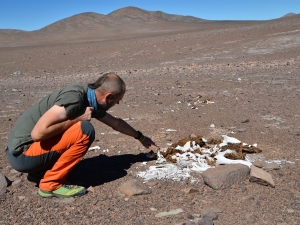 atacama-2017-23