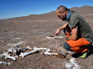 atacama-2017-24