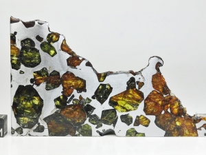 Esquel-pallasite-48g-slice