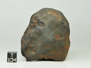 Gao-Guenie-H5-256g-complete-specimen