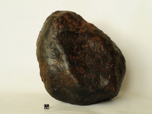 Ghubara-L5-13.5kg-complete-specimen