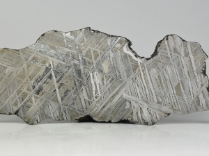 Glorietta-Mountain-pallasite-224g-ful-slice