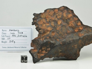 Henbury-Iron-IIIAB-818g-complete-oriented-specimen