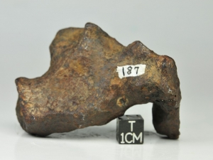 Mundrabilla-IAB-187g-complete-specimen