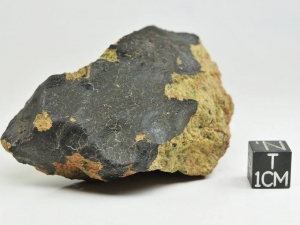 NWA-7464-diogenite-fragment