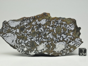 NWA-8505-mesosiderite-613g-half-piece