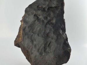 SAU-001-L4-5-3.6kg-complete-specimen