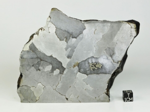 Sikhote-Alin-iron-IIB-3.9kg-half-specimen