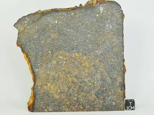 Zaklodzie-enstatite-ungrouped-achondrite-110g-slice