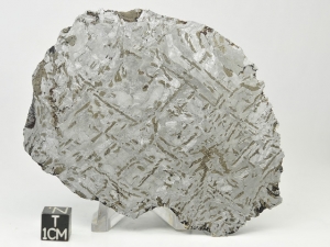 morasko-iron-IAB-495g-end-piece-with-shock-patterns