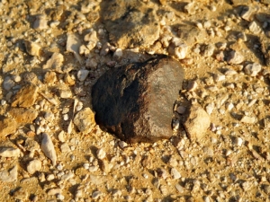 in-situ-photos-of-desert-meteorites-15