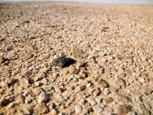 in-situ-photos-of-desert-meteorites-41