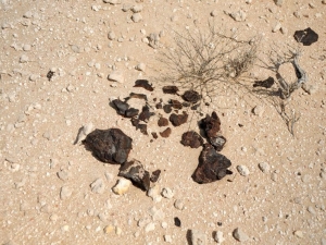 in-situ-photos-of-desert-meteorites-45