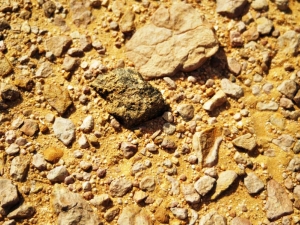 in-situ-photos-of-desert-meteorites-8-HED