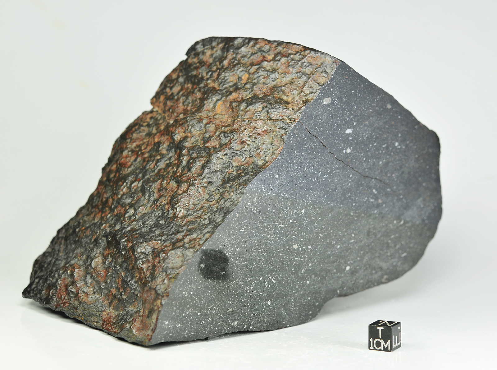 chondrite nwa 10107 l melt breccia 2781g main mass, amazing