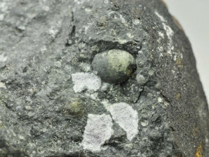Allende-CV3-150g-fragment-close-up-on-large-chondrule