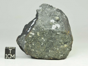 Allende-CV3-150g-fragment