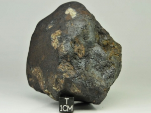 Chelyabinsk LL5 351g, specimen with normal lithology and impact melt part