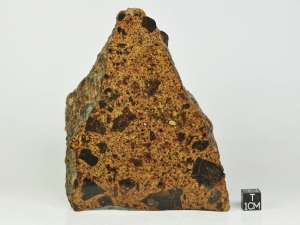 NWA 8524 LL4-6 705g, LL breccia