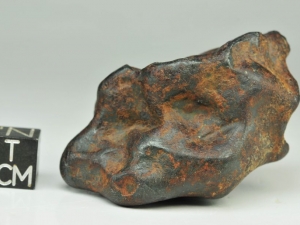 NWA 859 - Taza iron ungr. 126g, specimen with original fusion crust