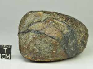 NWA xxx ordinary chondrite 232g, non crusted surface showing various shock veins