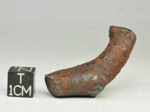 NWA-859-Taza-iron-ungr.-35g-oriented-specimen-with-bullet-shape