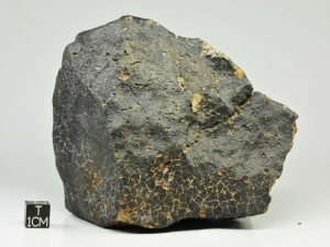 NWA-unclass.-1.2kg-piece-showing-contraction-cracks-on-fusion-crust-surface