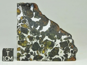 Seymchan pallasite 23g