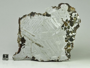 Seymchan pallasite 534g