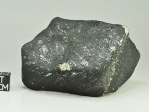 Shisr 176 L6 240g, fresh chondrite with impact marks on fusion crust surface