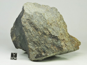Tamdakht H5 1.8kg, fragment with slickenside surface
