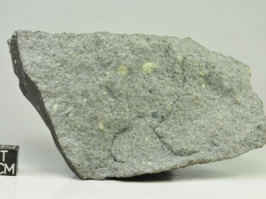 Tamdakht H5 448g, fresh chondrite interior without oxidation
