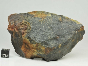 nwa-7733-ll56-455g-fragment-with-crust