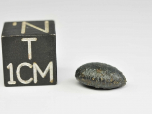 nwa-859-taza-iron-ungr-1-1g-oriented-specimen