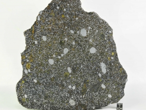 nwa-8741-mesosiderite-338g-full-slice