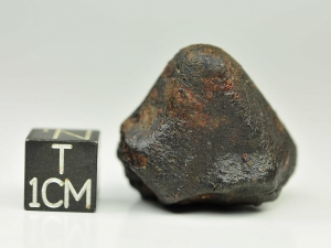 sau-001-l45-19g-complete-specimen-my-first-meteorite-find