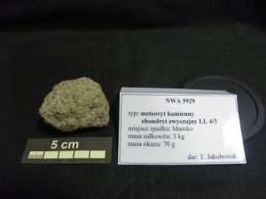 Collection-of-meteorites-at-University-of-Silesia-photo-Ewa-Budziszewska-Karwowskah