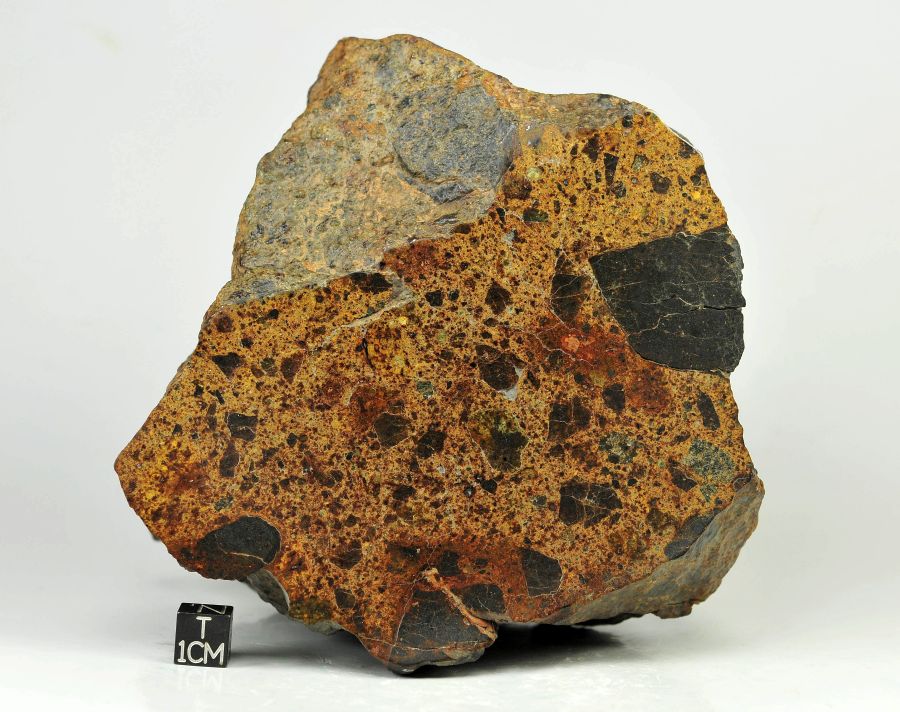 nwa-8524-ll4-6-1-6kg-ll-breccia-with-two-kinds-of-clasts-note-large-dark-clast-at-left-side-cut-surface-1