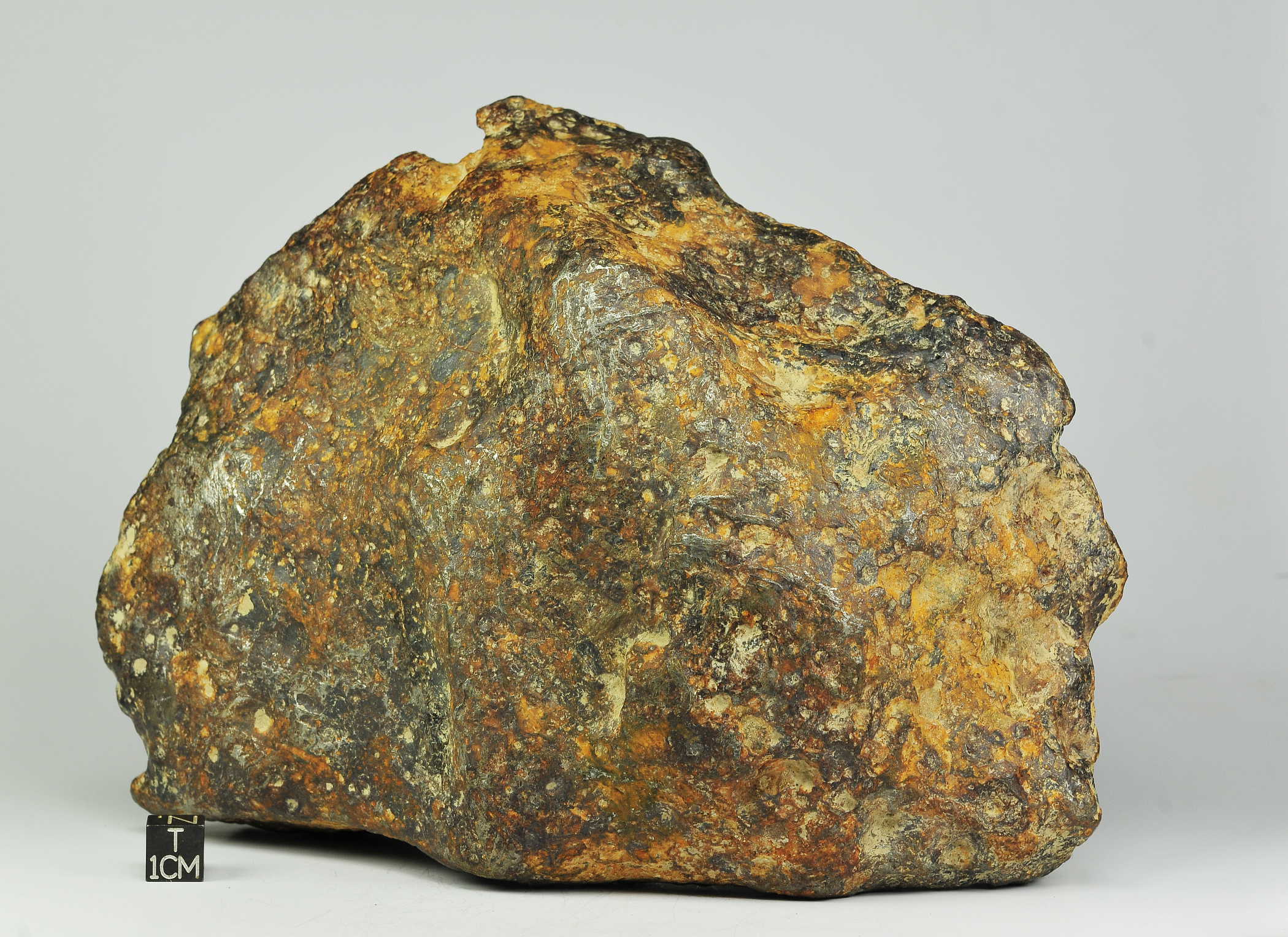 Seymchan PAL 6.3kg (1)