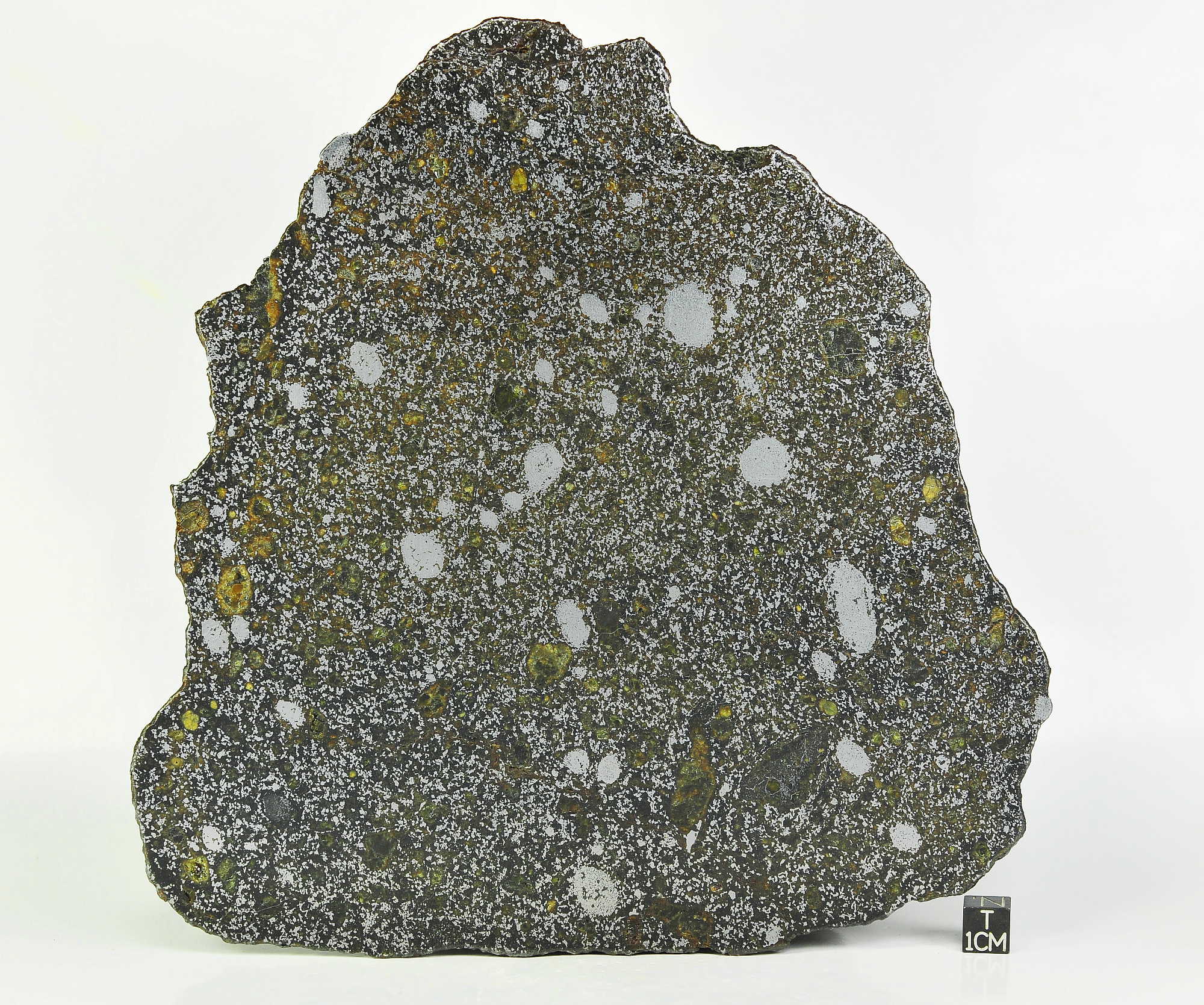 NWA 8741 Mesosiderite 338g full slice