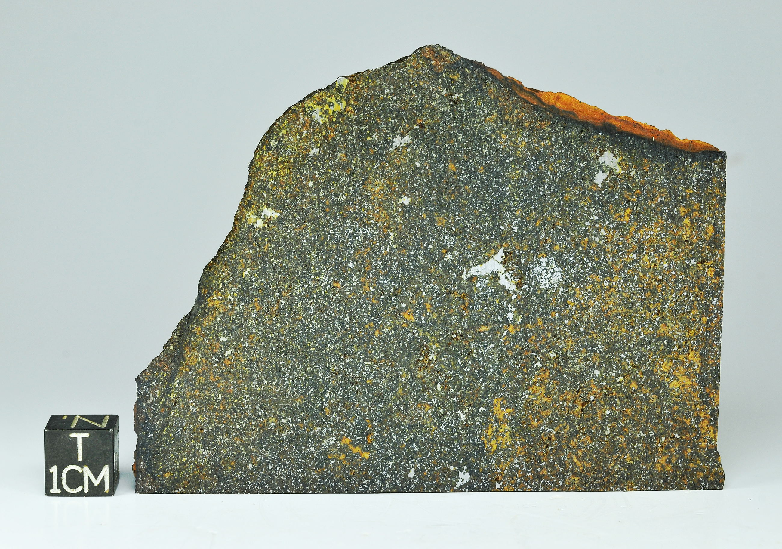 Zaklodzie 26g-a