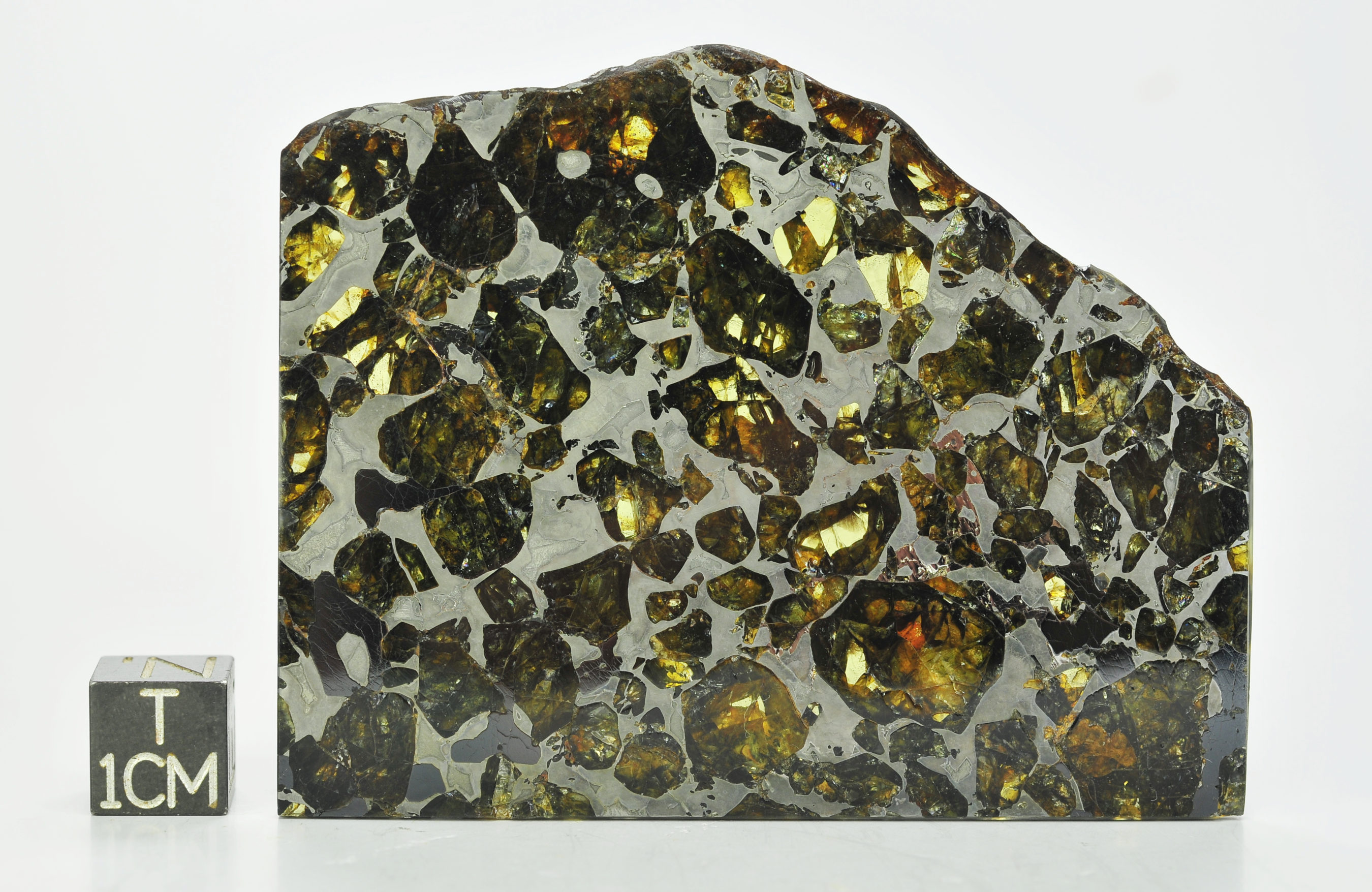 meteorite for sale meteorite for sale