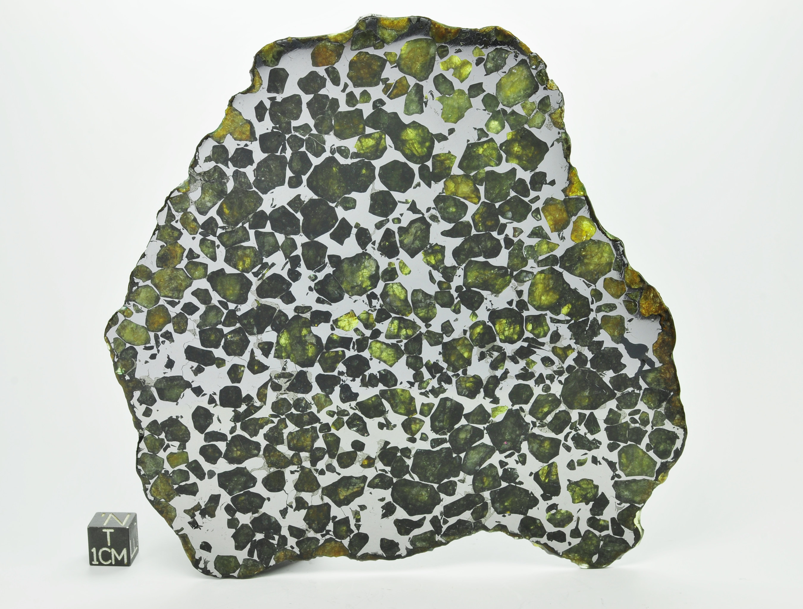 Seymchan 164g-a