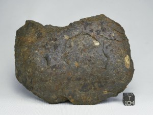 Aba-Panu-L3-571g-b