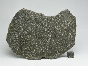 Aba-Panu-L3-571g
