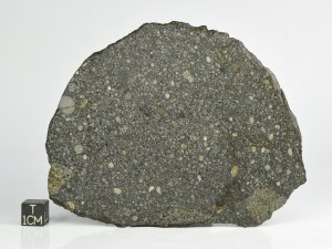 Aba-Panu-L3-61g-a