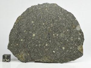 Aba-Panu-L3-61g-b