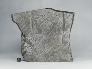 Aletai-IIIE-1207g-a