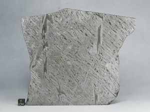 Aletai-IIIE-1207g-b